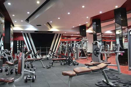 تصویر برای دسته  دستگاه های سری ARMANI